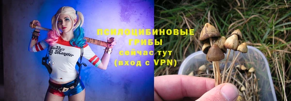 мдпв Кулебаки