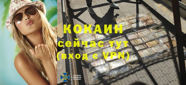индика Кукмор