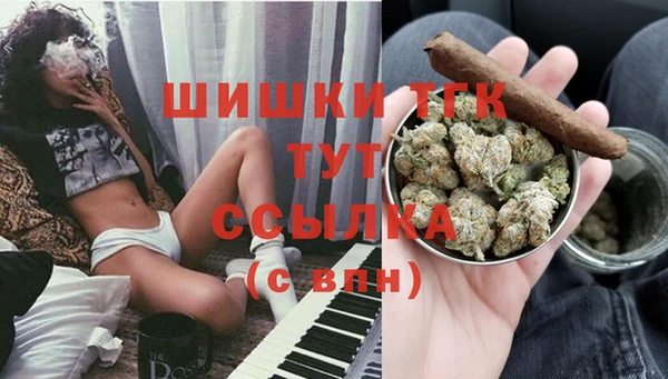 индика Кукмор