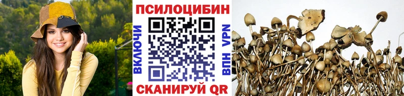 Псилоцибиновые грибы Magic Shrooms  Пионерский 